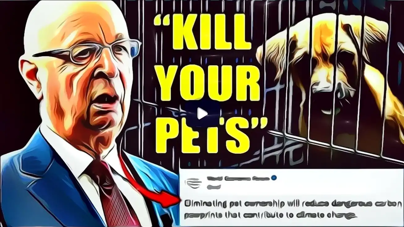 WEF haluaa teurastaa miljoonia lemmikkikissoja ja -koiria ilmastonmuutoksen torjumiseksi
