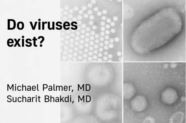 Do viruses really exist?