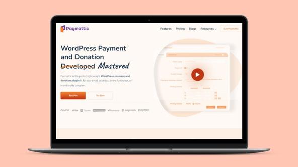 Paymattic Lifetime Deal | Lightweight Payment Plugin