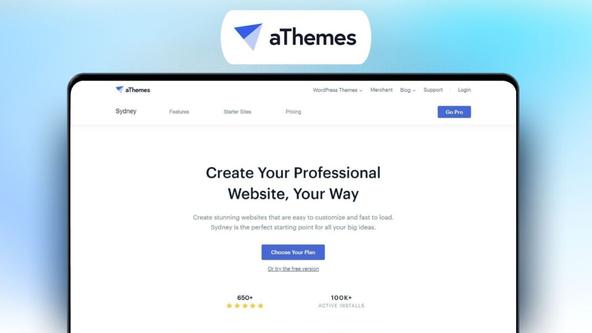 Sydney Lifetime Deal | Customizable WP Theme for Any Project